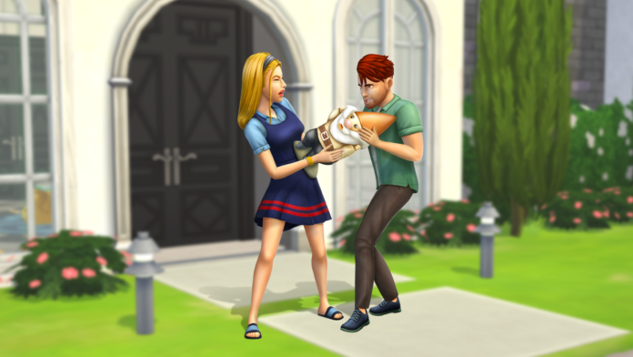 sims 5