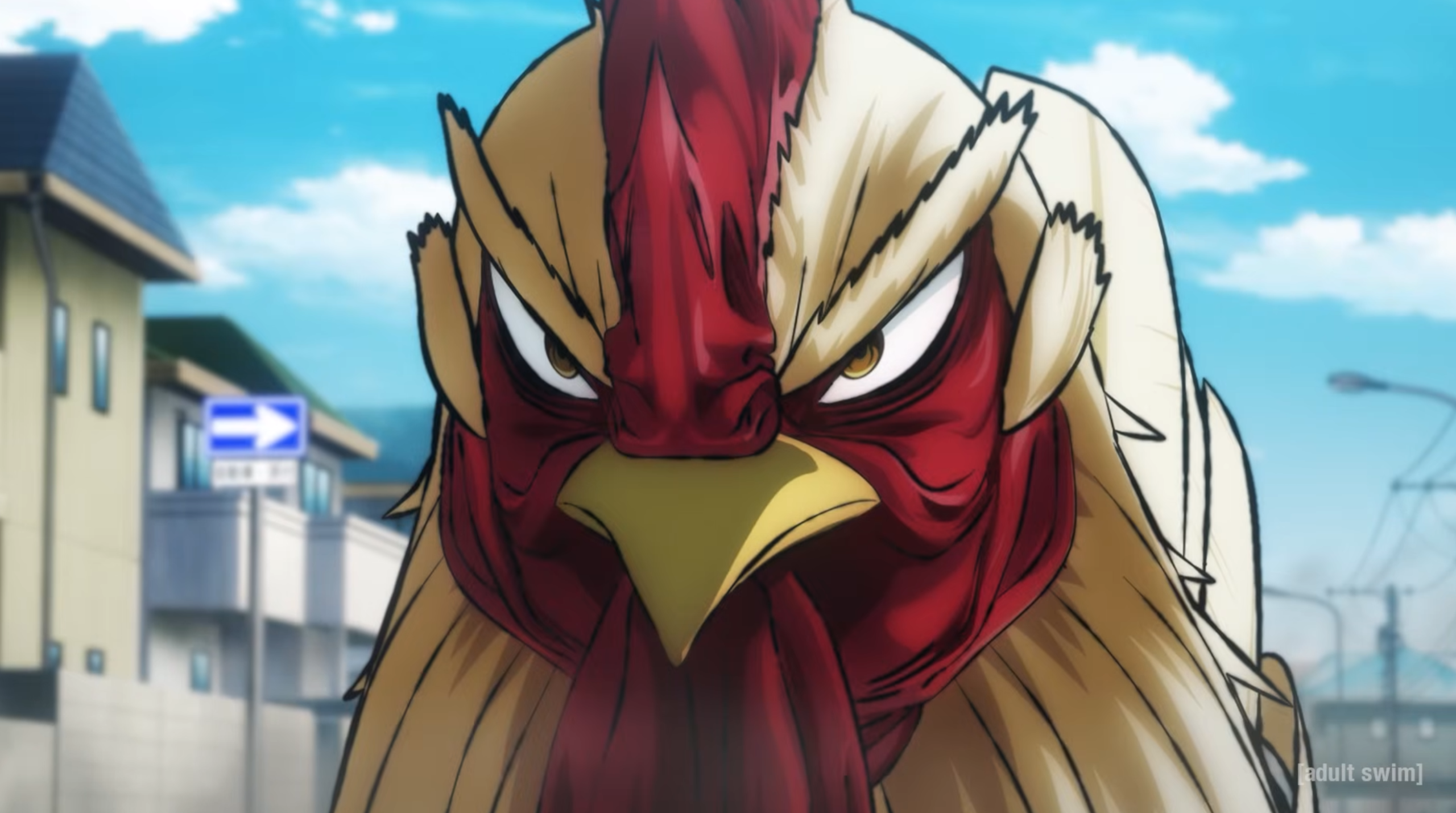 Rooster Fighter